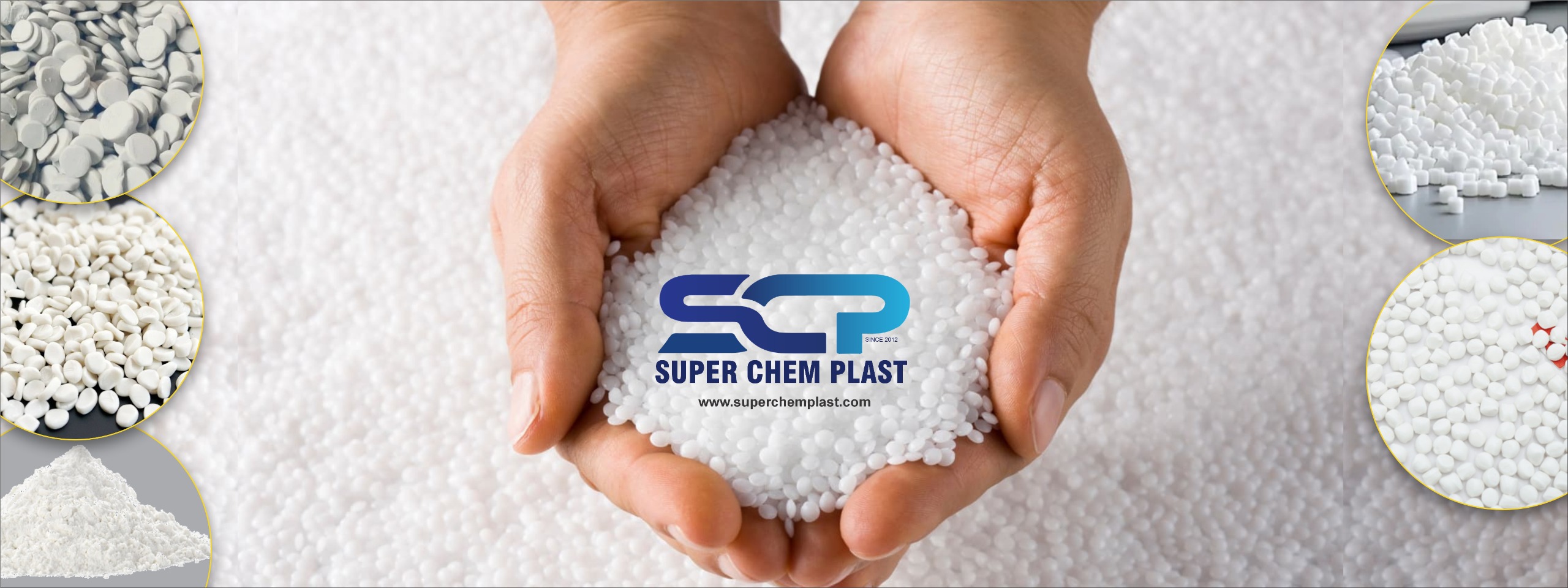 WhatsApp Image 2026-01-31 at 12.38.50